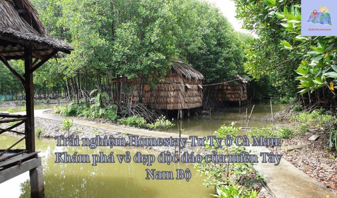 Trải nghiệm Homestay Tư Tỵ ở Cà Mau: Khám phá vẻ đẹp độc đáo của miền Tây Nam Bộ