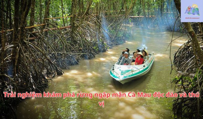 Trải nghiệm khám phá rừng ngập mặn Cà Mau độc đáo và thú vị